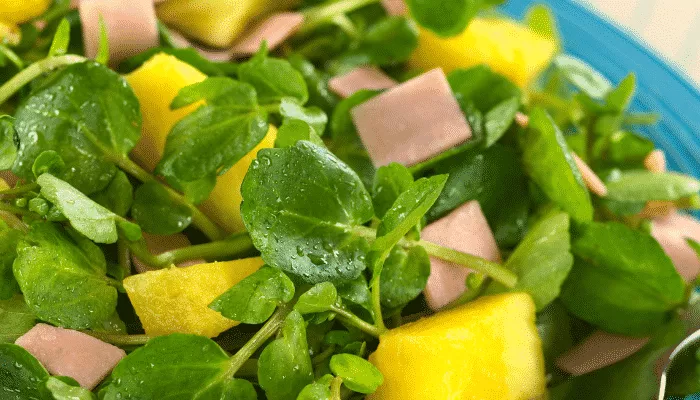 Surpreenda-se com uma deliciosa salada de abacaxi com agrião e rúcula