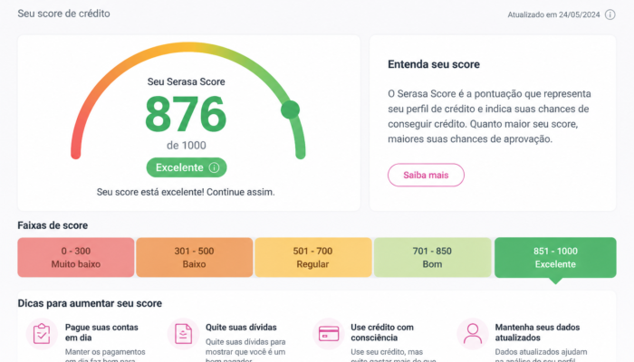 serasa score