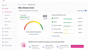 consultar score serasa