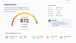 serasa score consulta